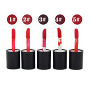 5 Colors Waterproof Long Lasting Lip Gloss Tube Red Pink Lip Tint Stain Makeup Liquid Lipstick Lipgloss Easy To Wear