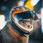 DIY Pet Helmets,Cat Helmet,Dog Helmet-Outdoor