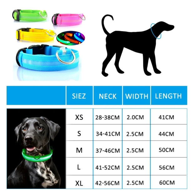 Led Dog Collar Light Anti-lost Collar For Dogs