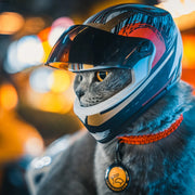 DIY Pet Helmets,Cat Helmet,Dog Helmet-Outdoor